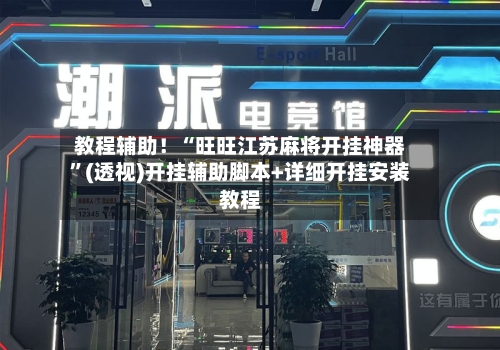 教程辅助！“旺旺江苏麻将开挂神器”(透视)开挂辅助脚本+详细开挂安装教程-第2张图片