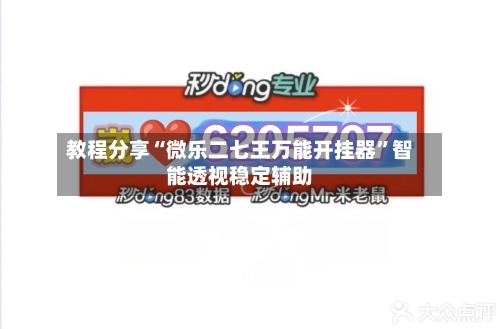 教程分享“微乐二七王万能开挂器”智能透视稳定辅助