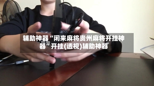 辅助神器“闲来麻将贵州麻将开挂神器”开挂(透视)辅助神器-第3张图片
