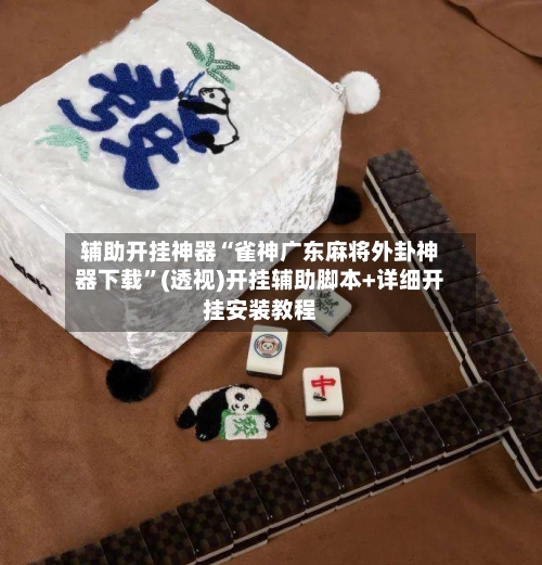 辅助开挂神器“雀神广东麻将外卦神器下载”(透视)开挂辅助脚本+详细开挂安装教程-第3张图片