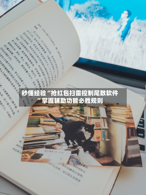 秒懂经验“抢红包扫雷控制尾数软件”掌握辅助功能必胜规则-第3张图片