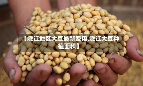 【嫩江地区大豆最新费用,嫩江大豆种植面积】
