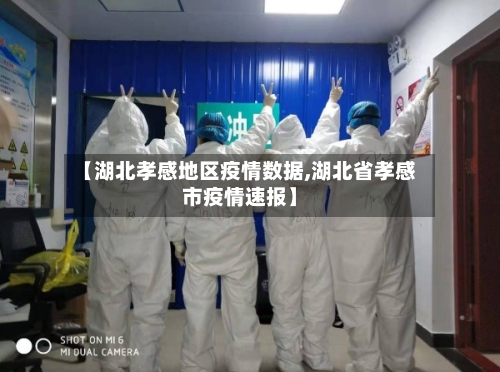 【湖北孝感地区疫情数据,湖北省孝感市疫情速报】