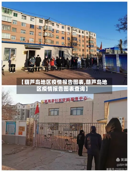 【葫芦岛地区疫情报告图表,葫芦岛地区疫情报告图表查询】-第2张图片