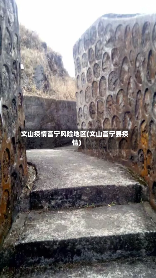 文山疫情富宁风险地区(文山富宁县疫情)-第2张图片