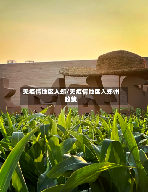 无疫情地区入郑/无疫情地区入郑州政策-第2张图片
