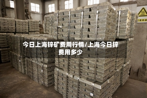 今日上海锌矿费用行情/上海今日锌费用多少-第2张图片