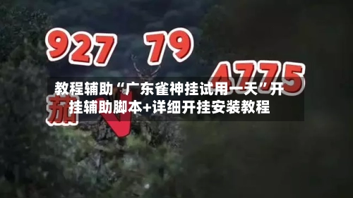 教程辅助“广东雀神挂试用一天	”开挂辅助脚本+详细开挂安装教程-第2张图片