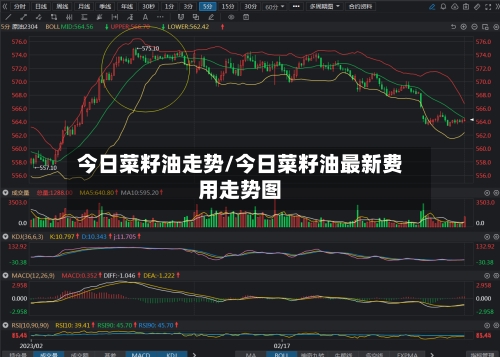 今日菜籽油走势/今日菜籽油最新费用走势图-第3张图片