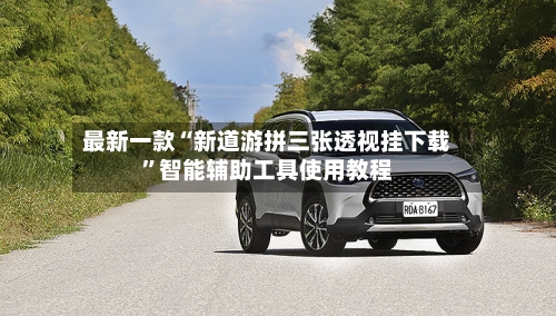 最新一款“新道游拼三张透视挂下载”智能辅助工具使用教程-第2张图片