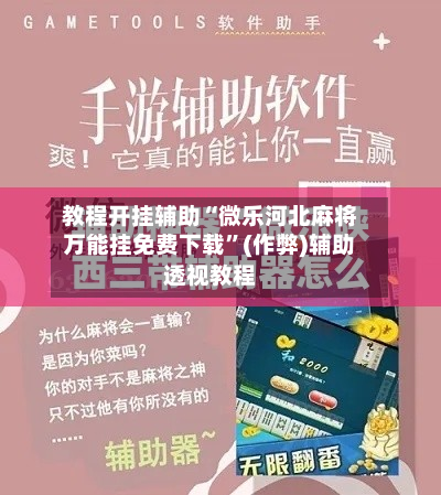 教程开挂辅助“微乐河北麻将万能挂免费下载”(作弊)辅助透视教程-第2张图片