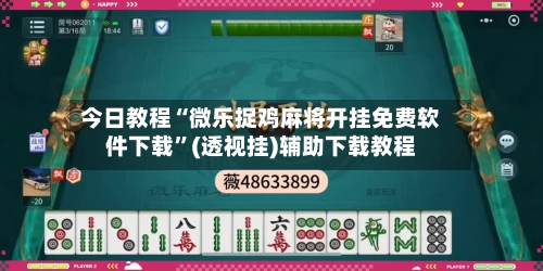 今日教程“微乐捉鸡麻将开挂免费软件下载”(透视挂)辅助下载教程