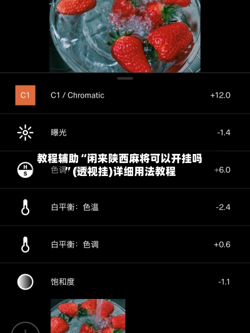 教程辅助“闲来陕西麻将可以开挂吗”(透视挂)详细用法教程-第2张图片