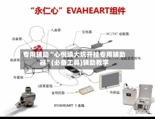 专用辅助“心悦填大坑开挂专用辅助器”(必备工具)辅助教学