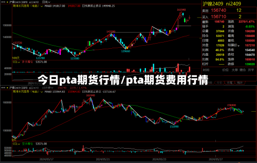 今日pta期货行情/pta期货费用行情-第2张图片
