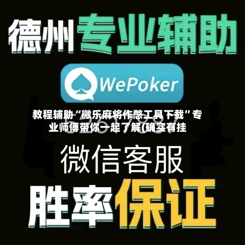 教程辅助“微乐麻将作憋工具下载	”专业师傅带你一起了解(确实有挂-第3张图片