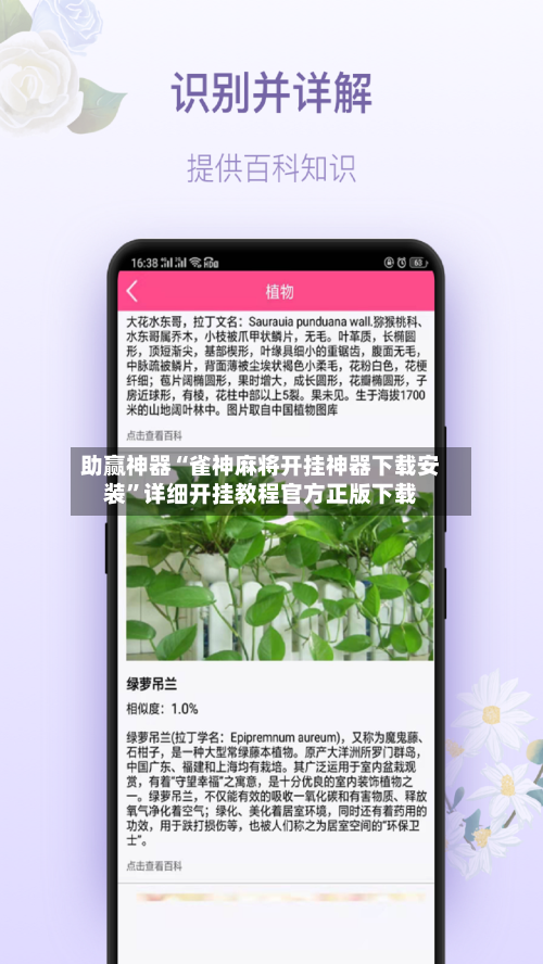 助赢神器“雀神麻将开挂神器下载安装”详细开挂教程官方正版下载