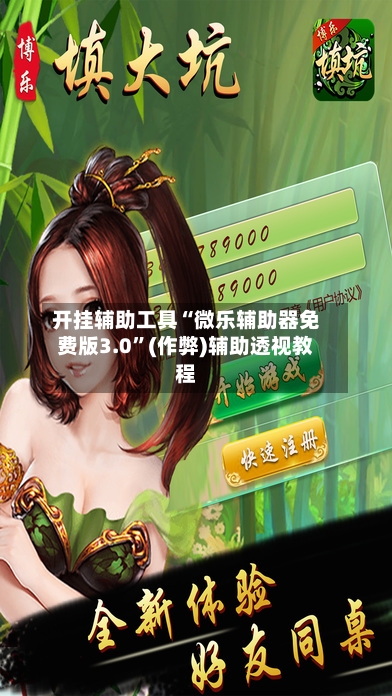 开挂辅助工具“微乐辅助器免费版3.0”(作弊)辅助透视教程-第2张图片