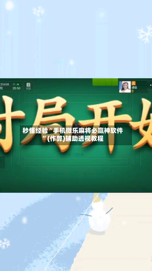 秒懂经验“手机微乐麻将必赢神软件”(作弊)辅助透视教程