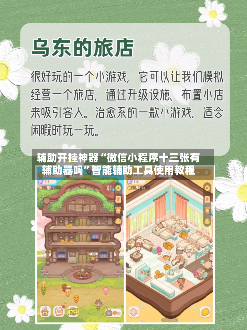 辅助开挂神器“微信小程序十三张有辅助器吗	”智能辅助工具使用教程-第2张图片