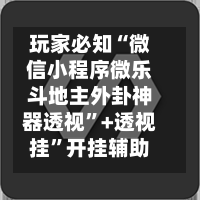 玩家必知“微信小程序微乐斗地主外卦神器透视”+透视挂”开挂辅助软件教程-第3张图片