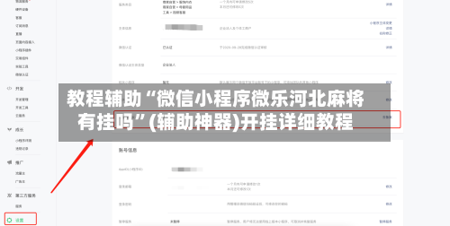 教程辅助“微信小程序微乐河北麻将有挂吗	”(辅助神器)开挂详细教程-第2张图片