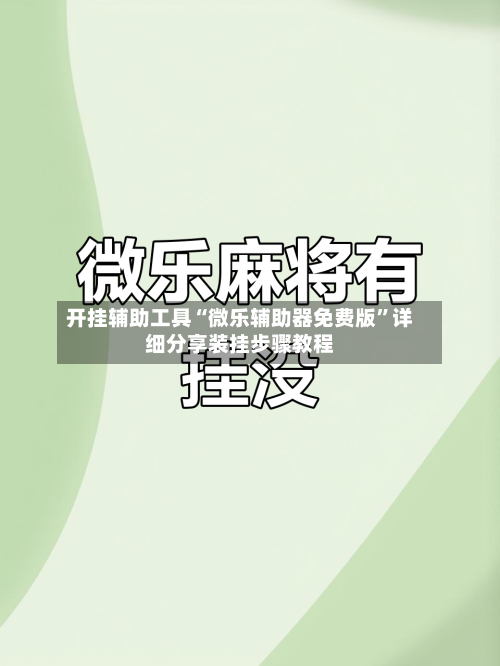开挂辅助工具“微乐辅助器免费版”详细分享装挂步骤教程