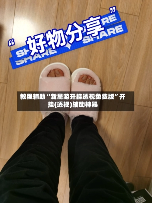 教程辅助“新星游开挂透视免费版”开挂(透视)辅助神器