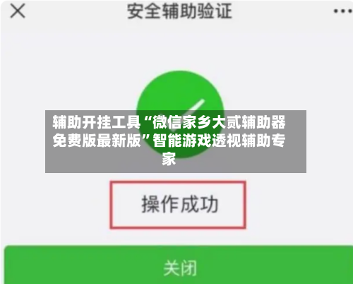 辅助开挂工具“微信家乡大贰辅助器免费版最新版”智能游戏透视辅助专家-第2张图片