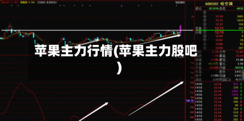 苹果主力行情(苹果主力股吧)