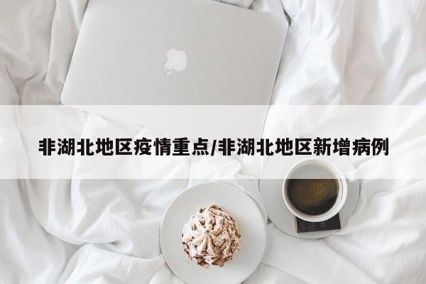 非湖北地区疫情重点/非湖北地区新增病例
